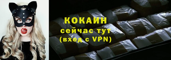 спайс Лагань