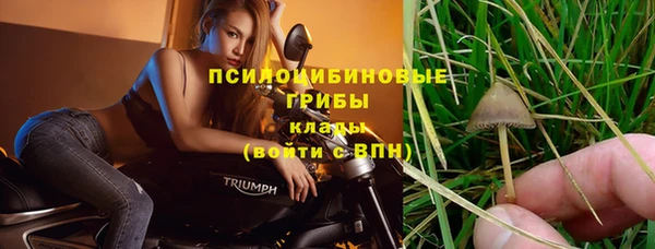 трава Ладушкин